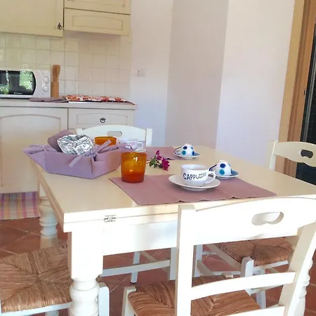 Ambra 帕拉迪索海岸